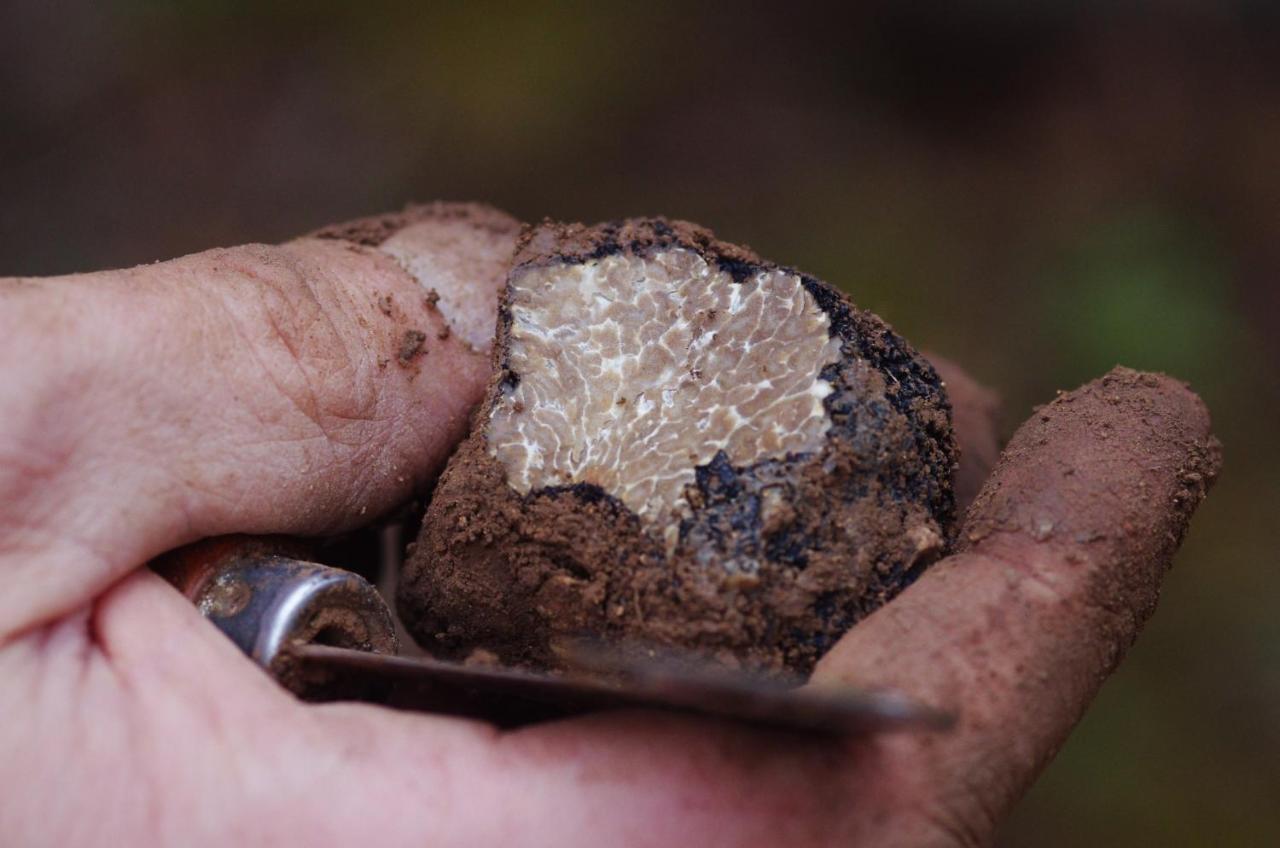Domaine De La Combotte Panzió Nantoux Kültér fotó